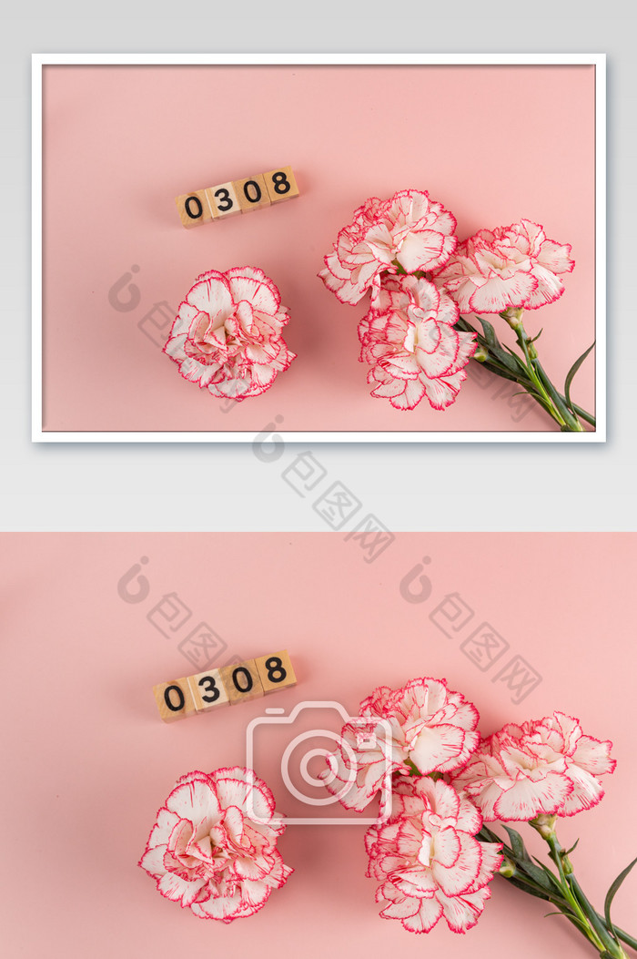 粉红色花朵康乃馨三八妇女节图片图片