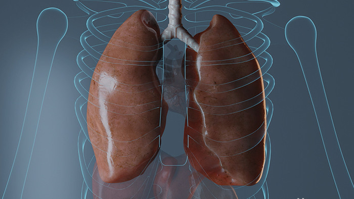 三维人体肝脏肠道医学高清背景视频