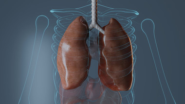 三维人体肝脏肠道医学高清背景视频