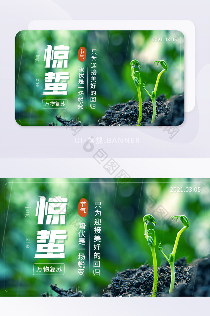 惊蛰节气万物复苏植物发芽banner