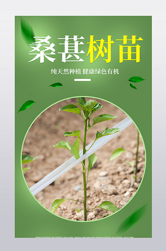 淘宝绿色有机植物精华纯天然营养产品详情页图片