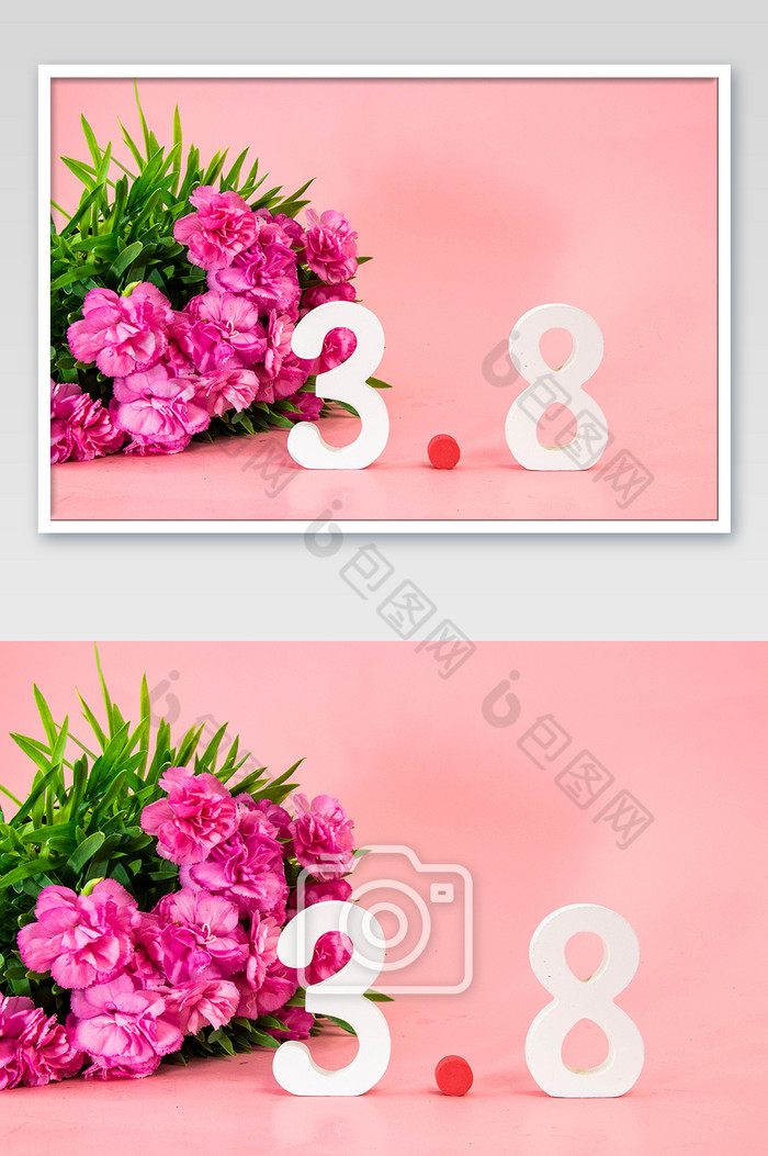 38女神节妇女节康乃馨花朵图片图片