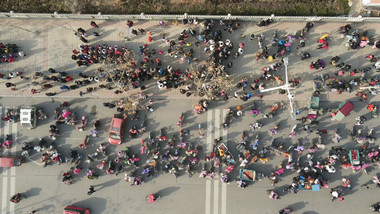 校园人流图片-校园人流素材免费下载-包图网