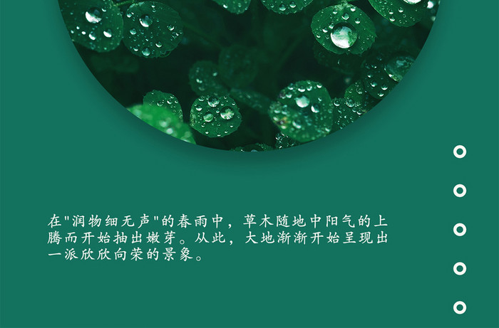 春天绿植日签二十四节气雨水节手机海报