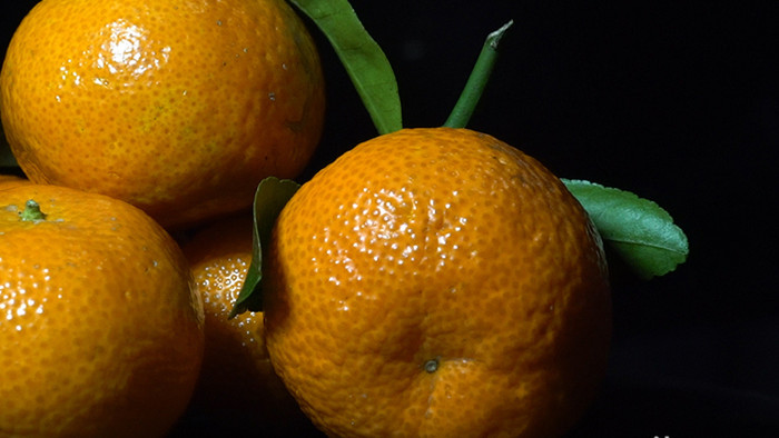 微距摄影优质的沙糖橘特写