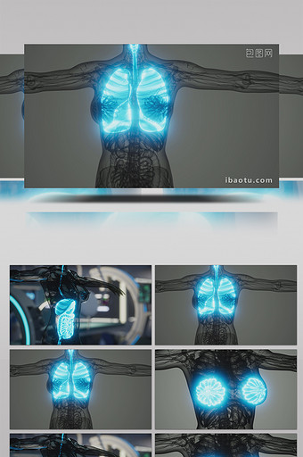 4K人体器官医学X光高清背景视频图片