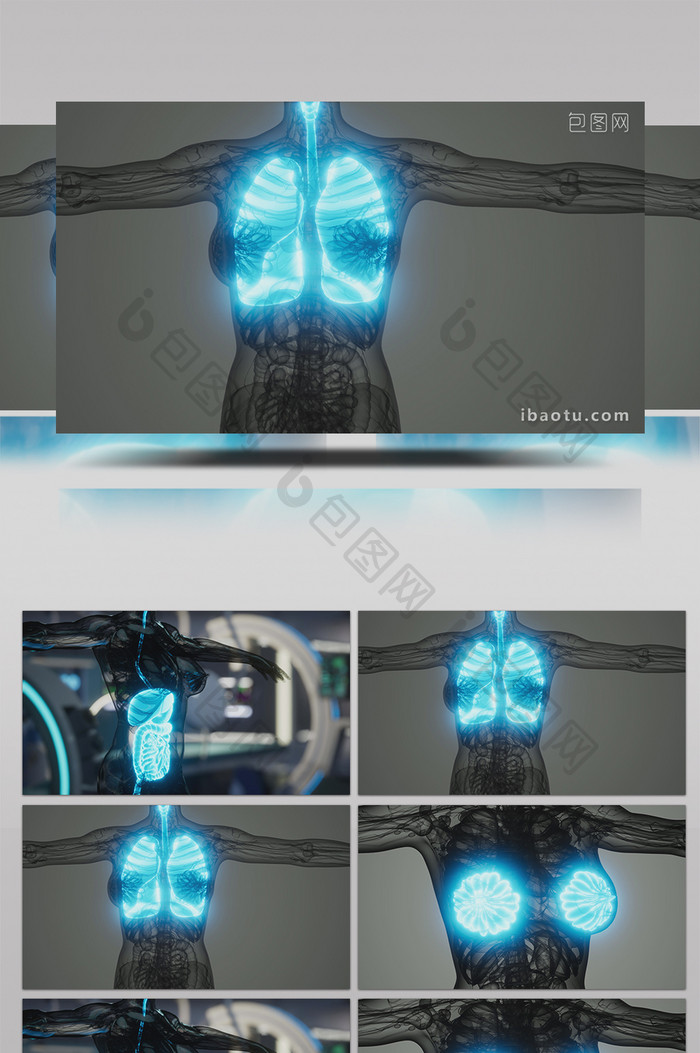 4K人体器官医学X光高清背景视频