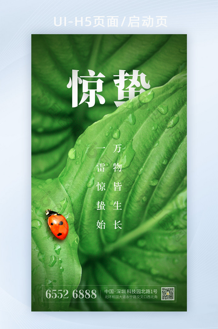 2021绿叶瓢虫惊蛰节气意境手机祝福海报