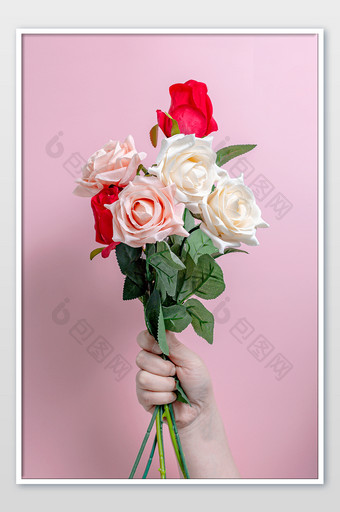 三八女生节主题手拿玫瑰花系列图片