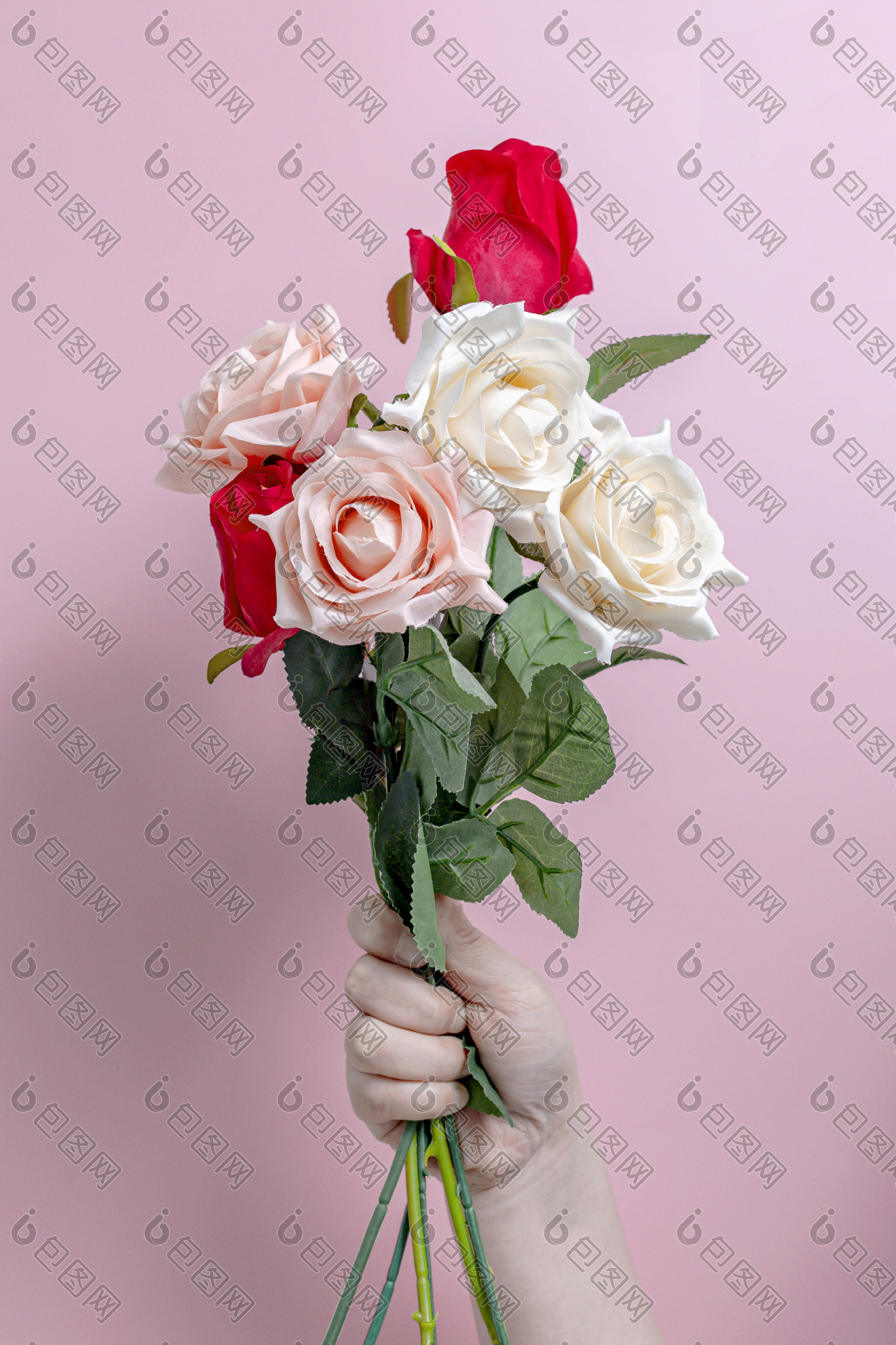 三八女生节主题手拿玫瑰花系列
