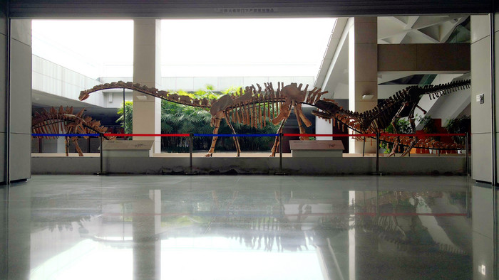 博物馆内恐龙化石