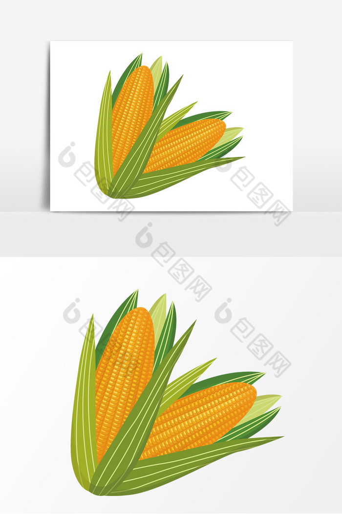 玉米食物图片图片