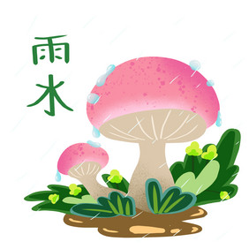 雨水节气植物蘑菇插画