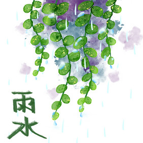 雨水节气装饰雨滴植物