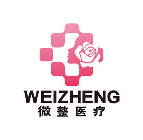 医美整容医疗医院美容logo标志vi