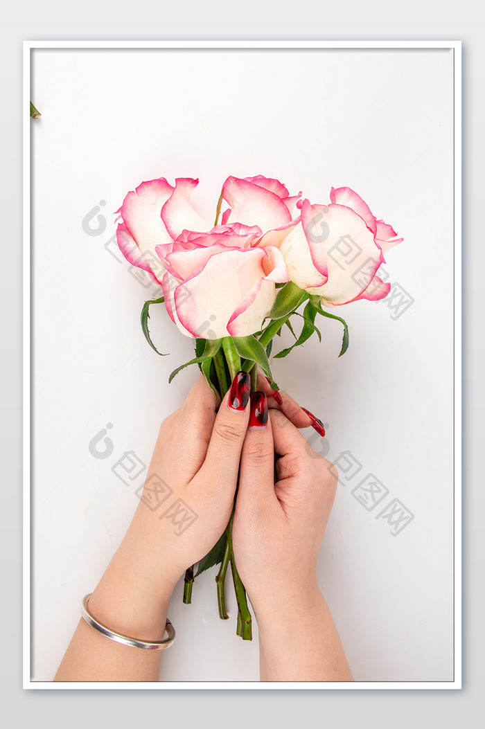 粉红色玫瑰花三八节摄影图