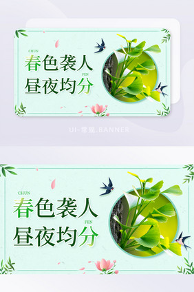 春季春分时节节气绿植花朵banner