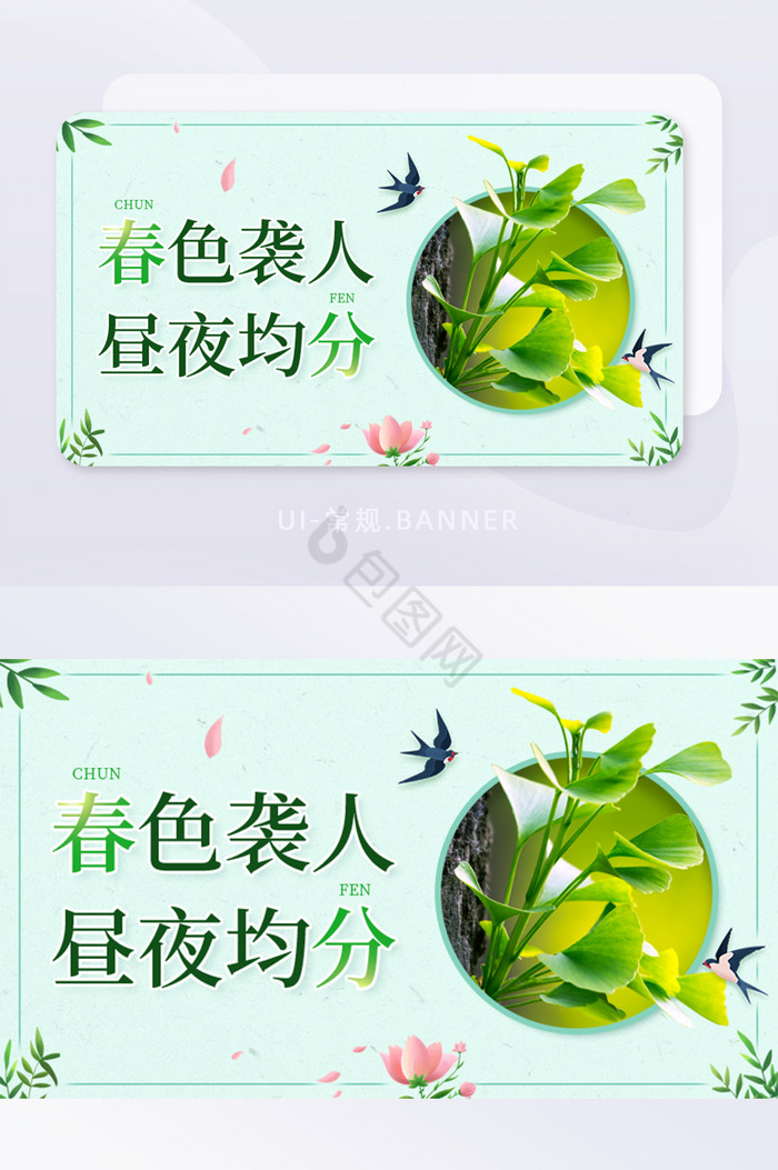 春季春分时节节气绿植花朵banner图片