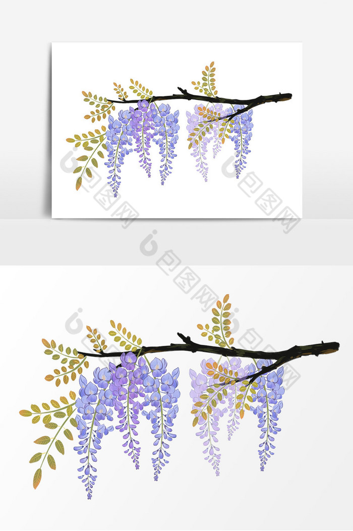 风春季紫藤花植物花卉春暖花开图片图片
