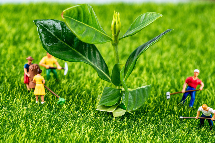 植树节种树小人摄影图图片