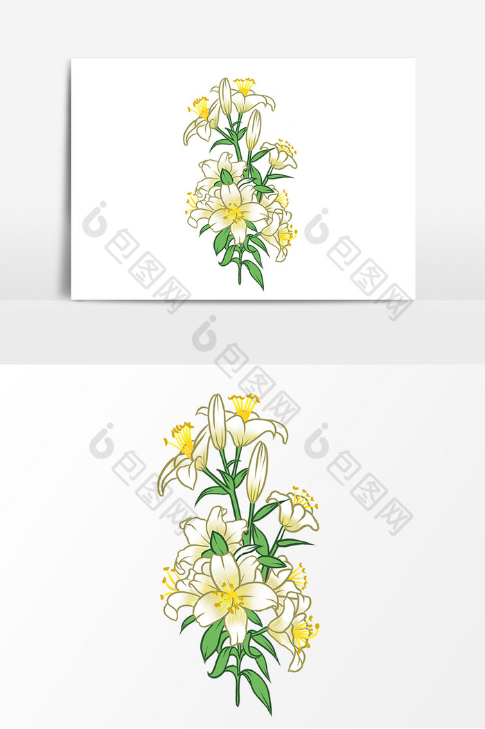 盛开的百合花图片图片