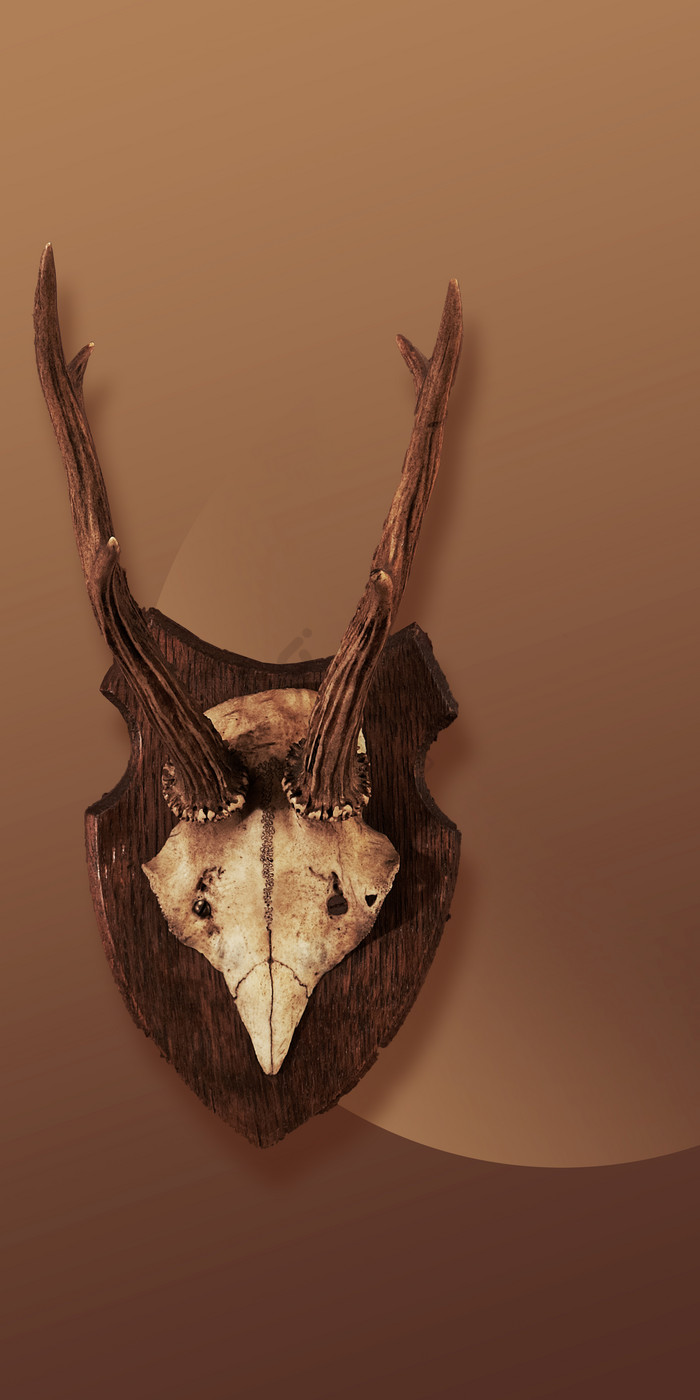 现代简约轻奢褐色艺术鹿角标本玄关画图片