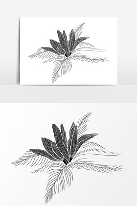 手绘黑白扁平感线条玳玳花元素图片