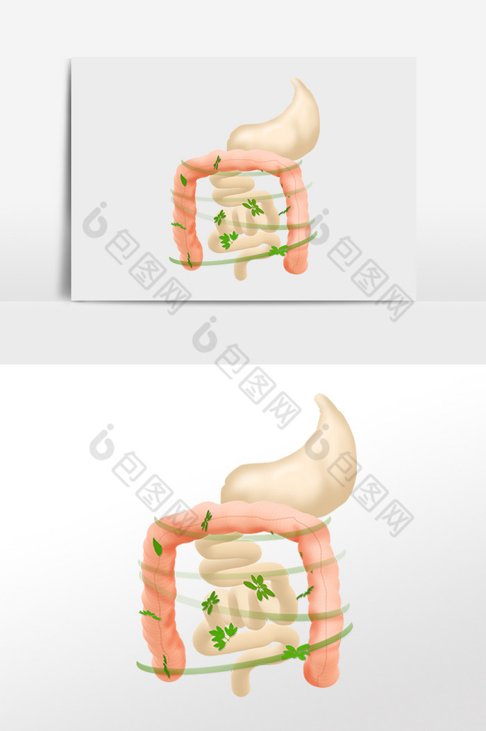 人体内脏肠道健康图片图片