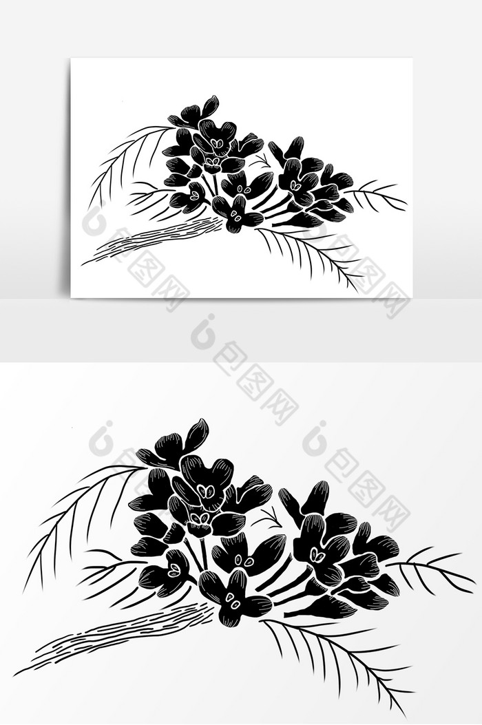 黑白感线条桂花图片图片