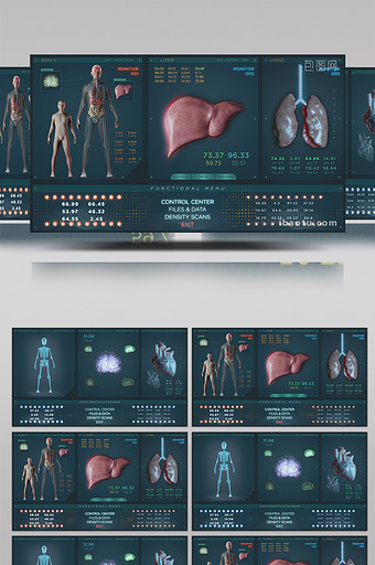 人体器官医学研究高清背景视频图片