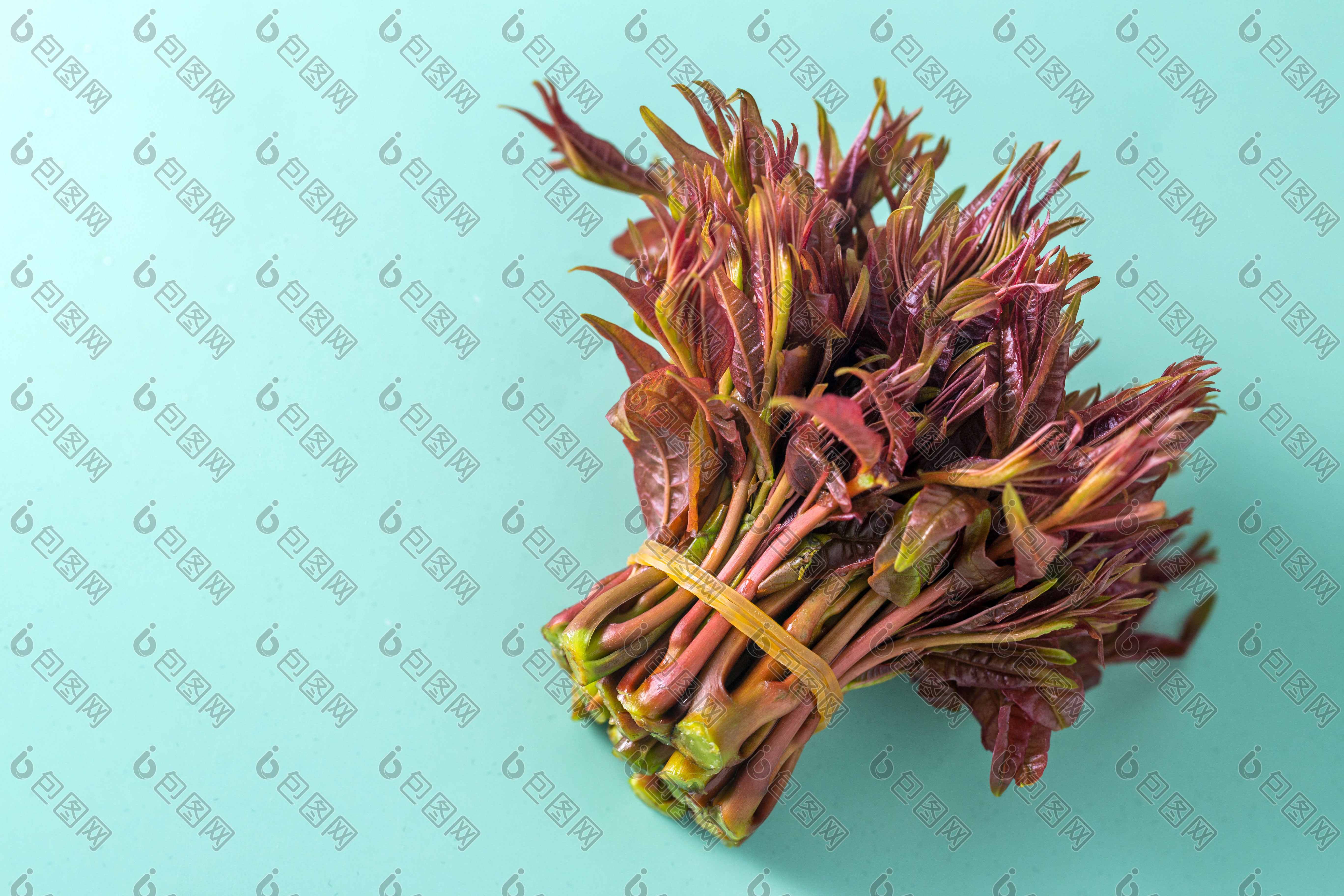 香椿绿色背景简洁大图