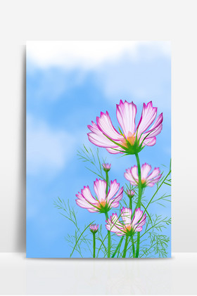 南丁格尔精神系南丁格尔精神空间南丁格尔精神新阅读看书女孩新阅读