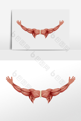卡通手绘肌肉发达臂膀图片