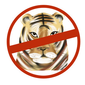 保护野生动物老虎图片