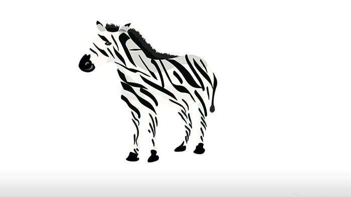 简单扁平画风自然动物类斑马mg动画
