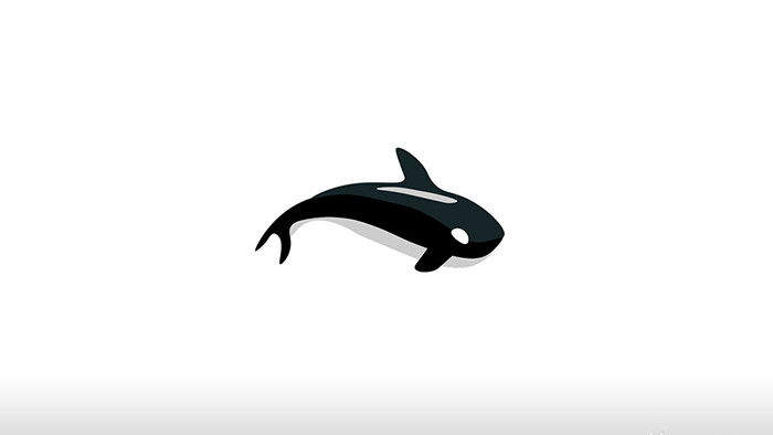 简单扁平画风自然动物类鲸鱼mg动画