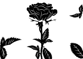 情人节玫瑰花黑色花朵元素