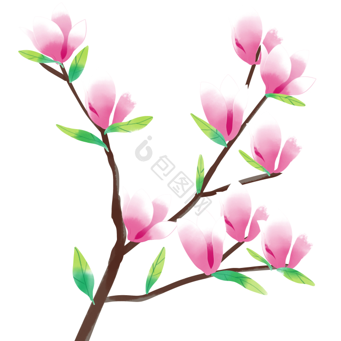 玉兰花卡通图片-玉兰花卡通素材免费下载-包图网