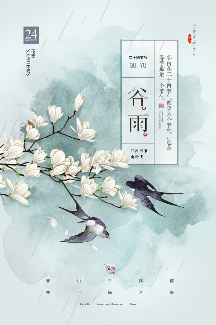 淡雅白玉兰花谷雨节气