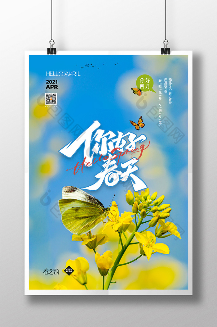 春天油菜花蝶恋花你好春天图片图片