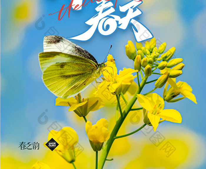 春天油菜花蝶恋花你好春天海报