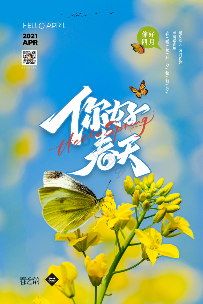 春天油菜花蝶恋花你好春天图片