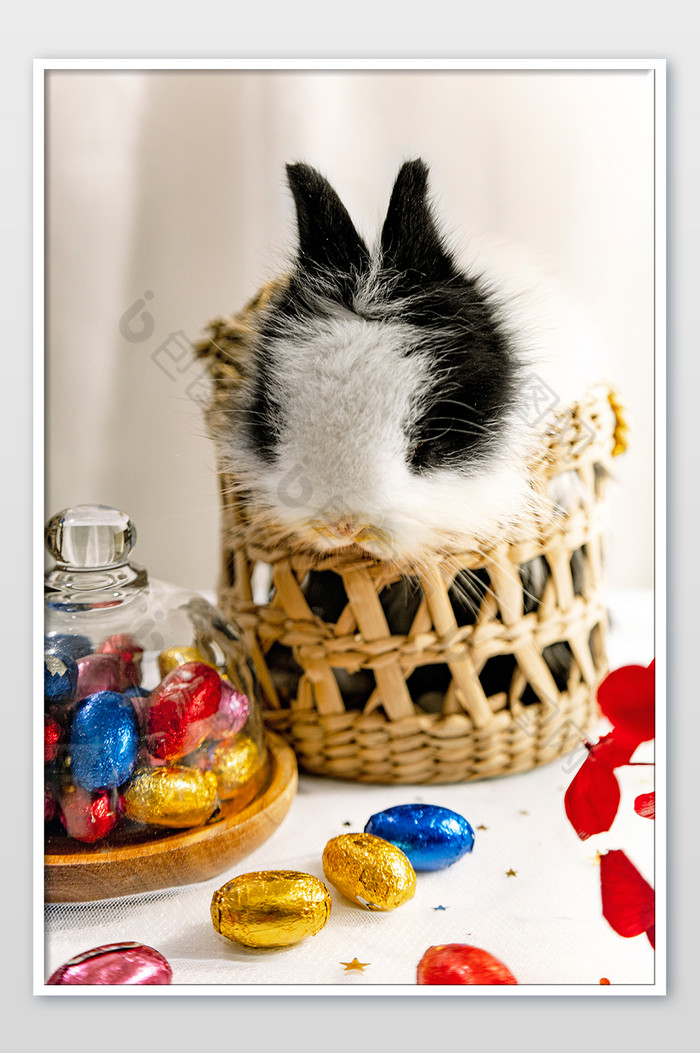 兔子宝宝的好奇心复活节彩蛋和蓝子图片图片