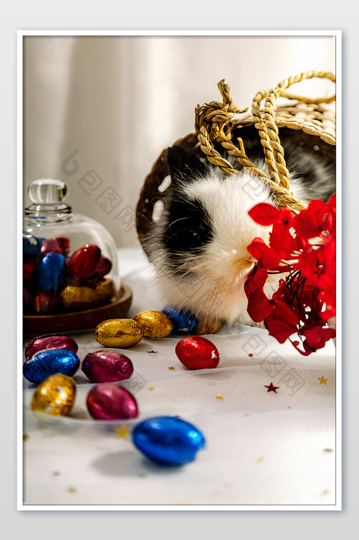 复活节小兔兔可爱的兔子宝宝 儿童礼物图片图片