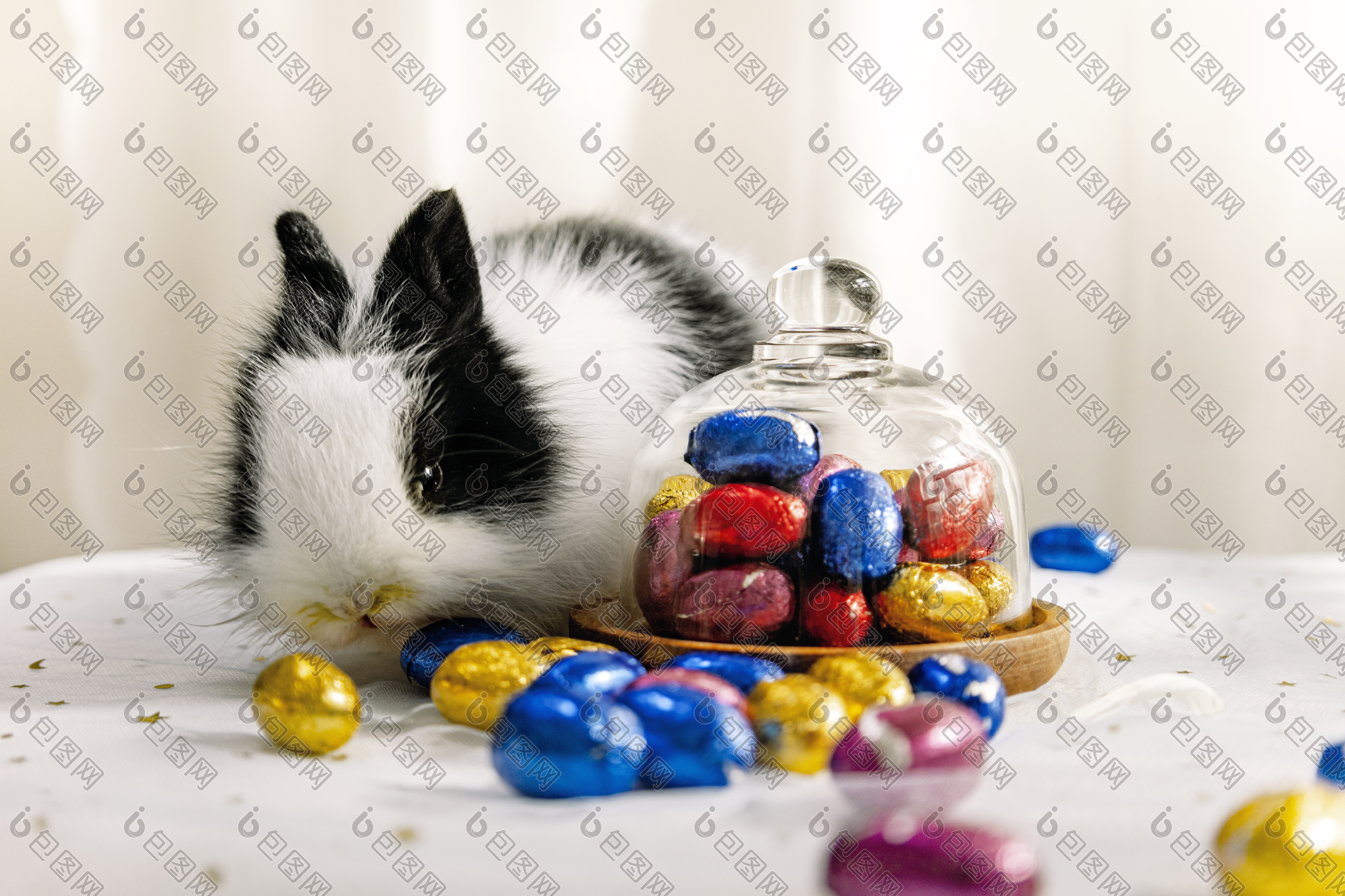 复活节兔子和彩蛋孩子的伙伴