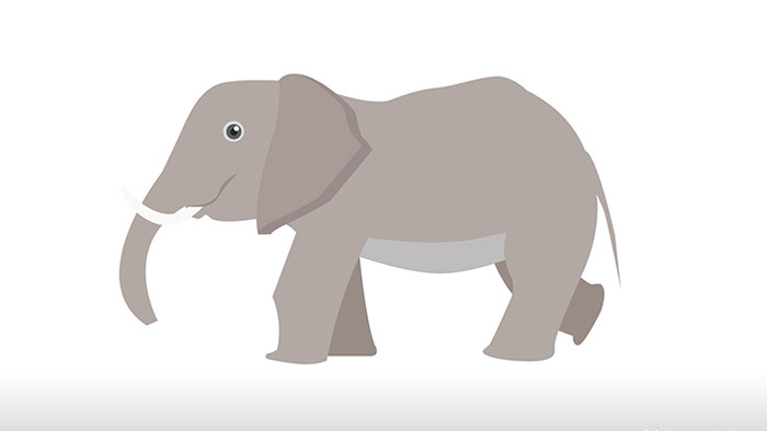 简约扁平画风哺乳动物类大象mg动画