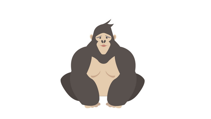 简约扁平画风哺乳动物类黑猩猩mg动画