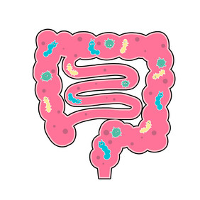 人体肠道健康肠道