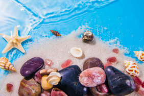 沙滩贝壳和水纹摄影图