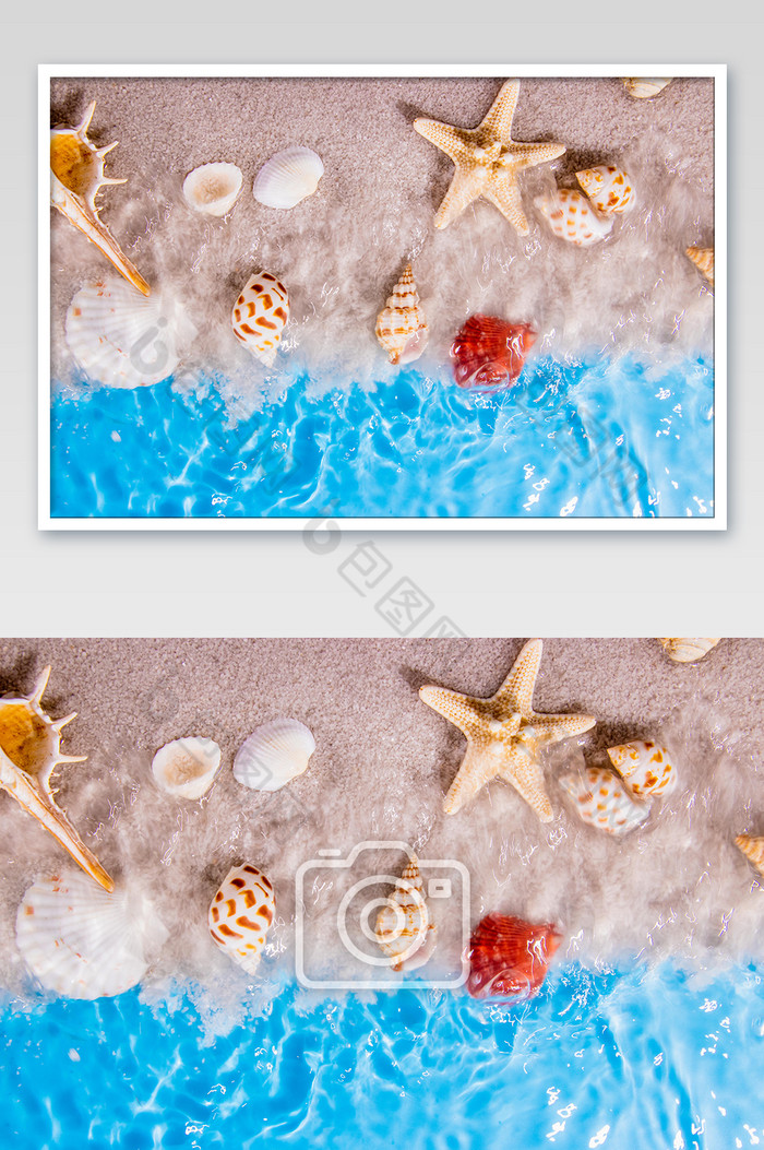 大海水纹和贝壳摄影图图片图片